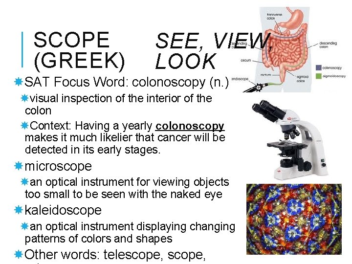 SCOPE (GREEK) SEE, VIEW, LOOK SAT Focus Word: colonoscopy (n. ) visual inspection of