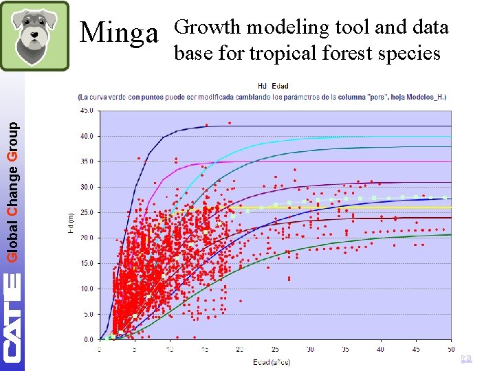 Growth modeling tool and data base for tropical forest species Global Change Group Minga