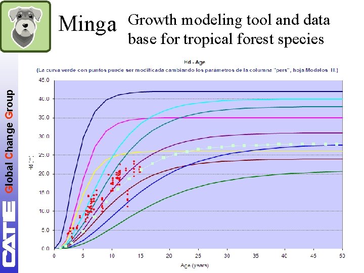 Global Change Group Minga Growth modeling tool and data base for tropical forest species