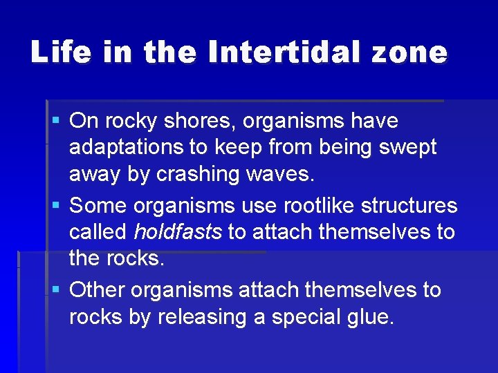 Life in the Intertidal zone § On rocky shores, organisms have adaptations to keep