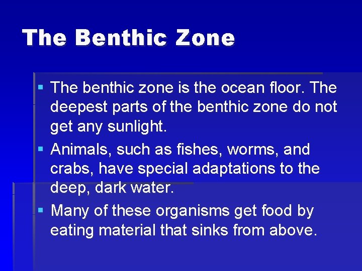 The Benthic Zone § The benthic zone is the ocean floor. The deepest parts