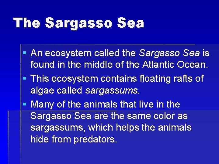 The Sargasso Sea § An ecosystem called the Sargasso Sea is found in the