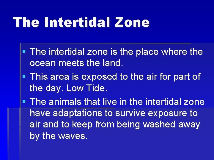 The Intertidal Zone § The intertidal zone is the place where the ocean meets