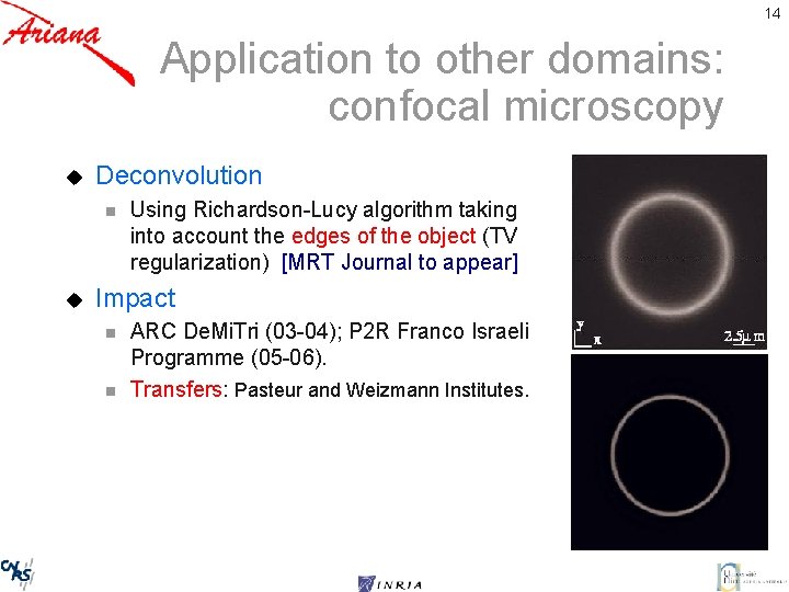 14 Application to other domains: confocal microscopy u Deconvolution n u Using Richardson-Lucy algorithm