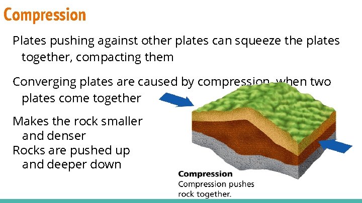 Compression Plates pushing against other plates can squeeze the plates together, compacting them Converging