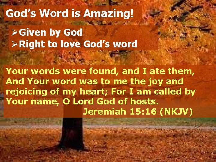 Psalm 119 Gods Word Revelation The Bible is