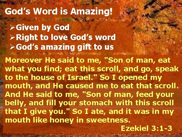 Psalm 119 Gods Word Revelation The Bible is