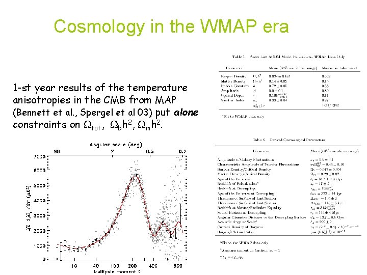 Cosmology in the WMAP era 1 -st year results of the temperature anisotropies in