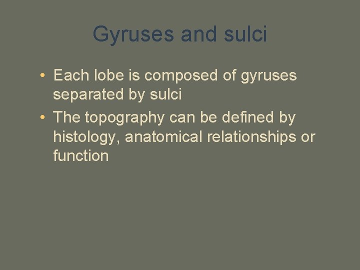 Gyruses and sulci • Each lobe is composed of gyruses separated by sulci •