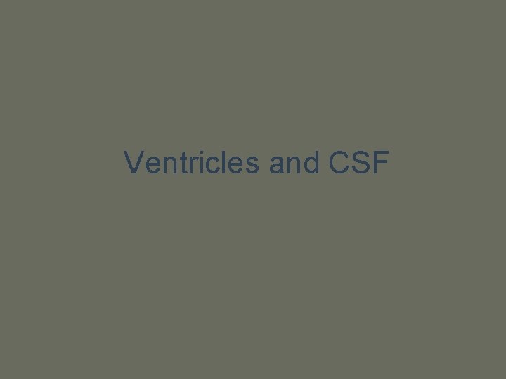 Ventricles and CSF 