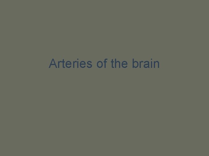 Arteries of the brain 