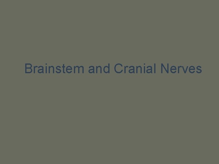 Brainstem and Cranial Nerves 