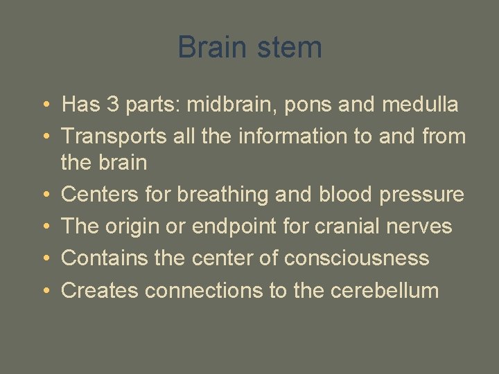 Brain stem • Has 3 parts: midbrain, pons and medulla • Transports all the