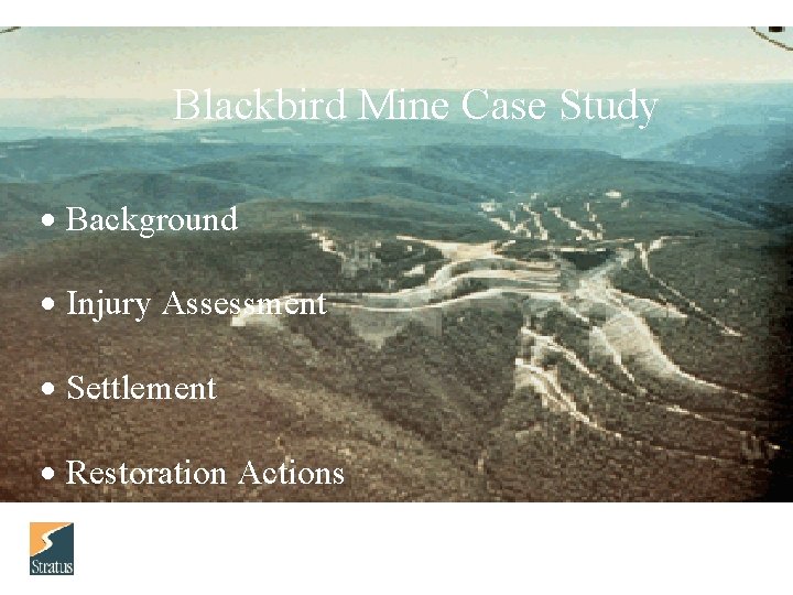 Blackbird Mine Case Study Background Injury Assessment Settlement Restoration Actions 