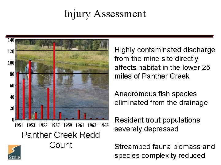 Injury Assessment Highly contaminated discharge from the mine site directly affects habitat in the