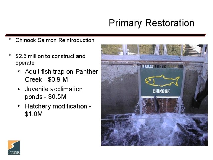 Primary Restoration 8 Chinook Salmon Reintroduction 8 $2. 5 million to construct and operate