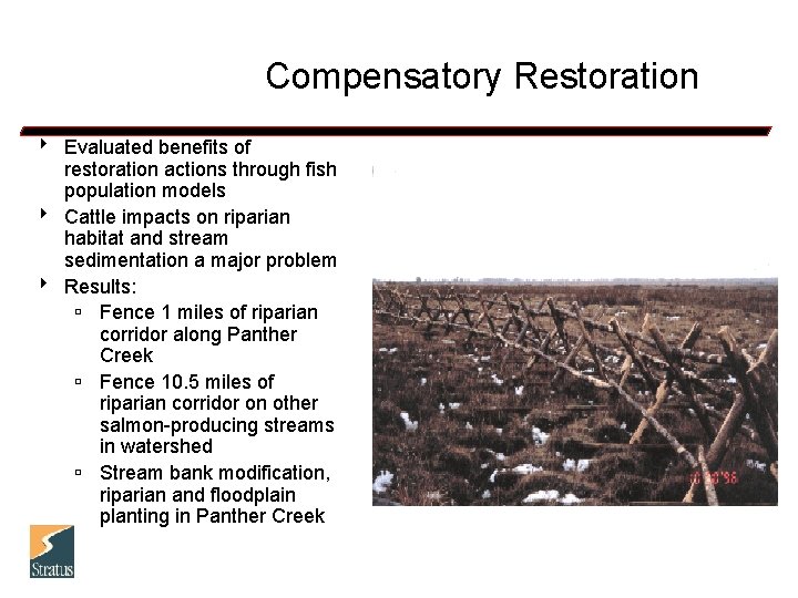 Compensatory Restoration 8 Evaluated benefits of restoration actions through fish population models 8 Cattle