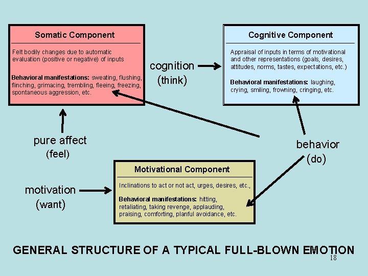 Somatic Component Cognitive Component Felt bodily changes due to automatic evaluation (positive or negative)