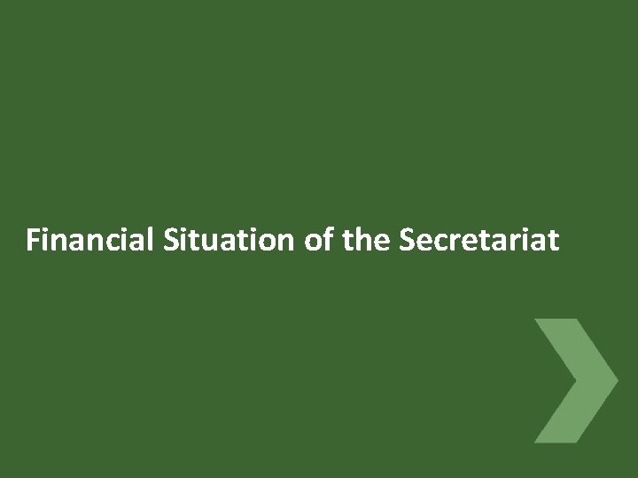 Financial Situation of the Secretariat 