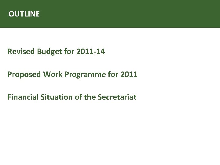 OUTLINE Revised Budget for 2011 -14 Proposed Work Programme for 2011 Financial Situation of