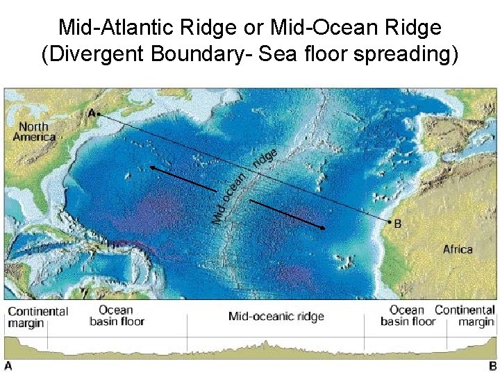 Mid-Atlantic Ridge or Mid-Ocean Ridge (Divergent Boundary- Sea floor spreading) 