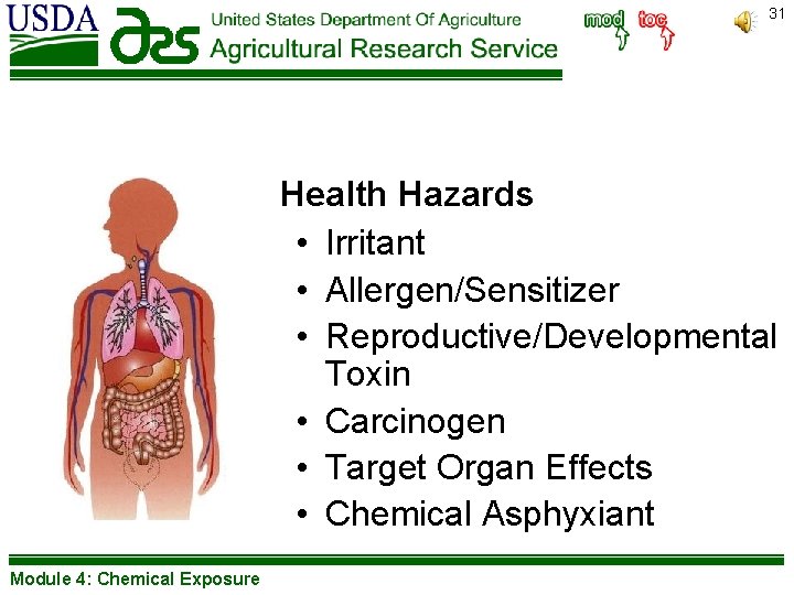 31 Health Hazards • Irritant • Allergen/Sensitizer • Reproductive/Developmental Toxin • Carcinogen • Target