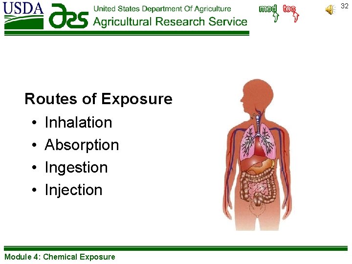 32 Routes of Exposure • Inhalation • Absorption • Ingestion • Injection Module 4: