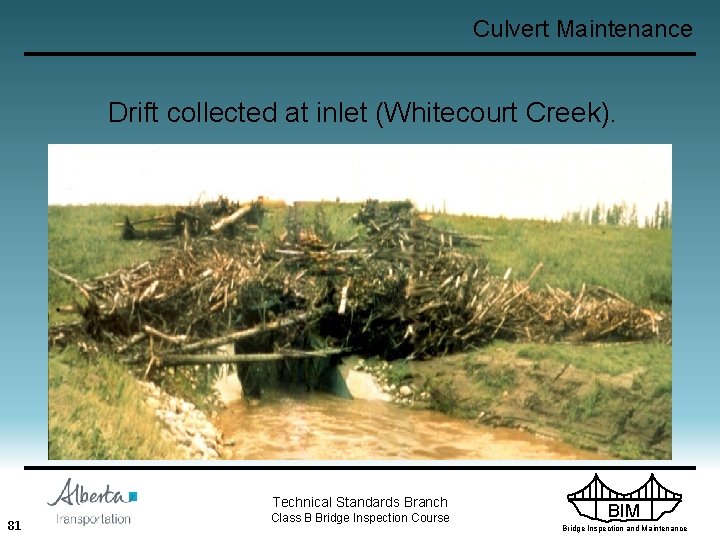 Culvert Maintenance Drift collected at inlet (Whitecourt Creek). Technical Standards Branch 81 Class B