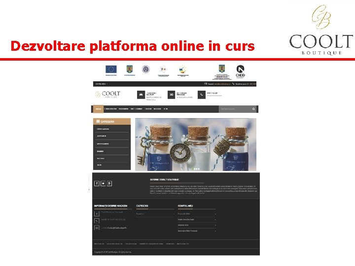  Dezvoltare platforma online in curs 