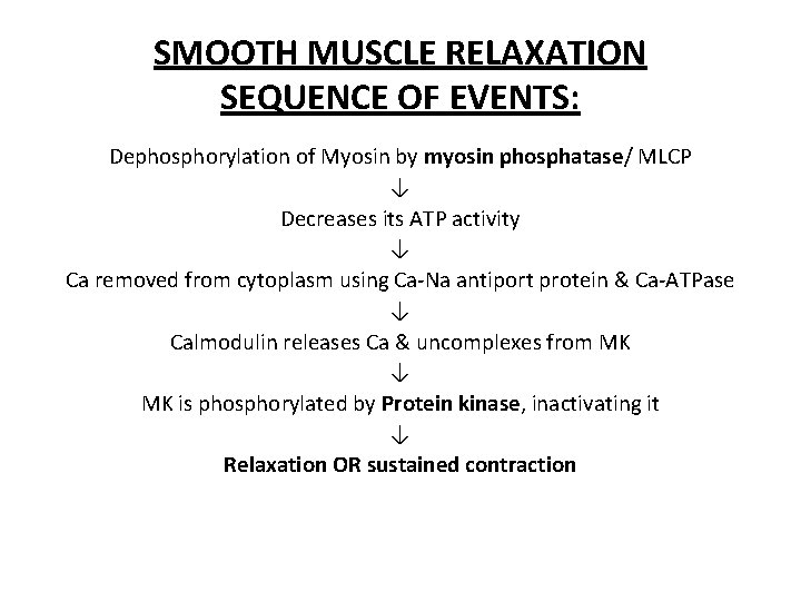 SMOOTH MUSCLE RELAXATION SEQUENCE OF EVENTS: Dephosphorylation of Myosin by myosin phosphatase/ MLCP ↓