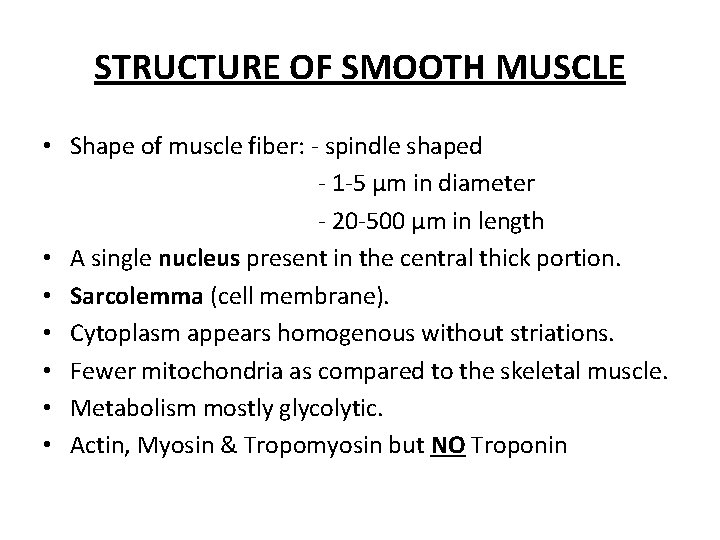 STRUCTURE OF SMOOTH MUSCLE • Shape of muscle fiber: - spindle shaped - 1