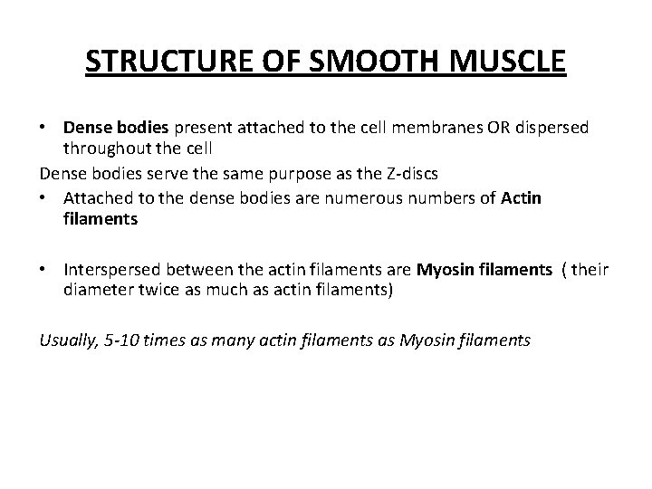 STRUCTURE OF SMOOTH MUSCLE • Dense bodies present attached to the cell membranes OR