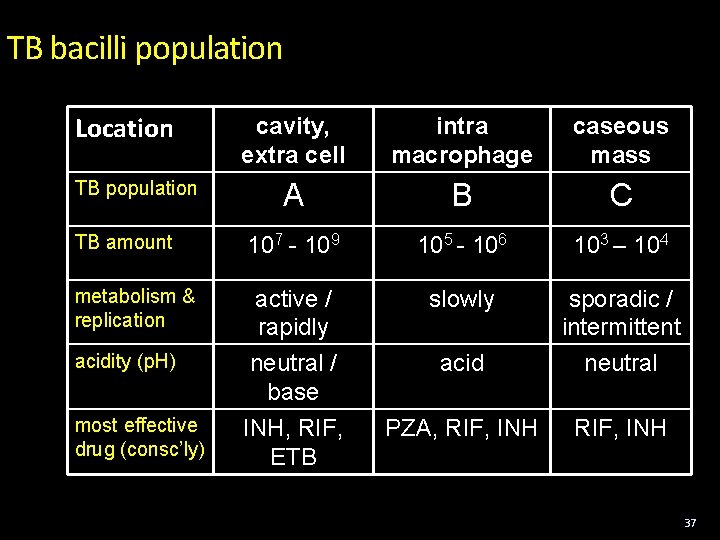 TB bacilli population Location cavity, extra cell intra macrophage caseous mass A B C