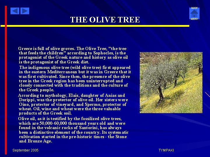 MAIN THE OLIVE TREE MENU Greece is full of olive groves. The Olive Tree,