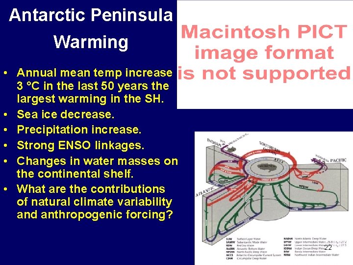 Antarctic Peninsula Warming • Annual mean temp increase 3 °C in the last 50