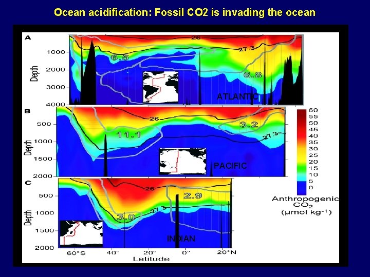 Ocean acidification: Fossil CO 2 is invading the ocean ATLANTIC PACIFIC INDIAN 31 