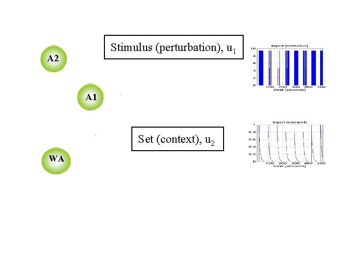 Stimulus (perturbation), u 1 A 2 A 1 . WA . Set (context), u
