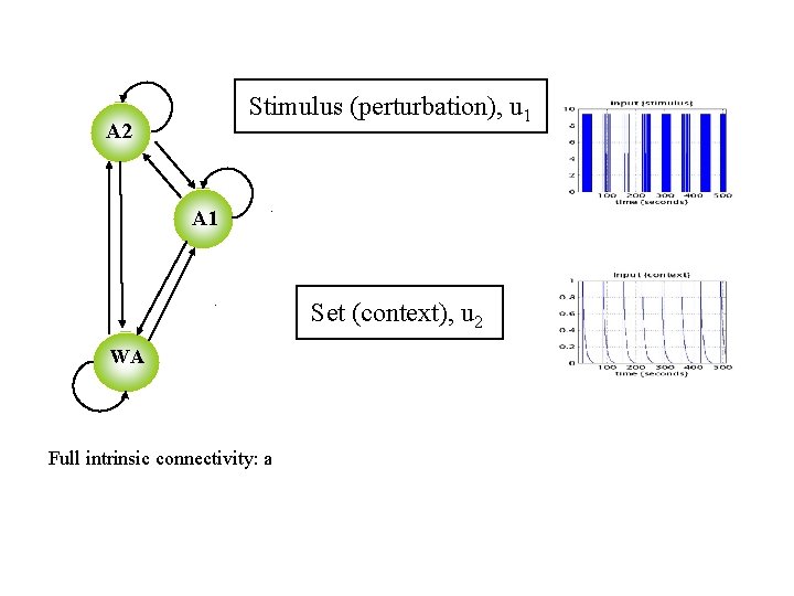 Stimulus (perturbation), u 1 A 2 A 1 . . WA Full intrinsic connectivity:
