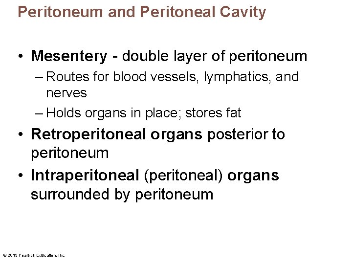 Peritoneum and Peritoneal Cavity • Mesentery - double layer of peritoneum – Routes for