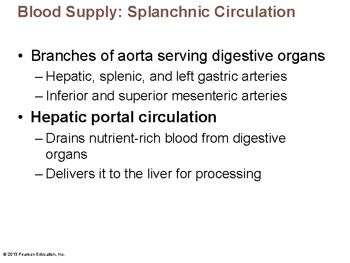 Blood Supply: Splanchnic Circulation • Branches of aorta serving digestive organs – Hepatic, splenic,