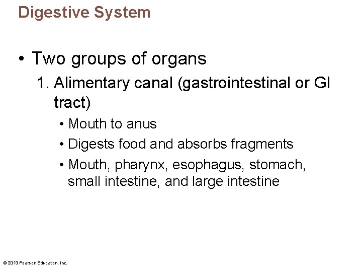 Digestive System • Two groups of organs 1. Alimentary canal (gastrointestinal or GI tract)