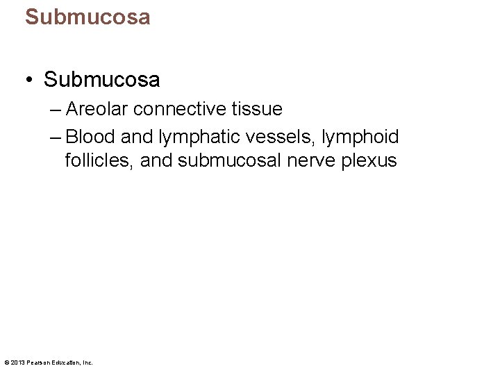 Submucosa • Submucosa – Areolar connective tissue – Blood and lymphatic vessels, lymphoid follicles,