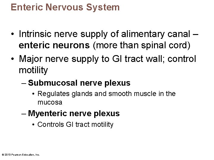 Enteric Nervous System • Intrinsic nerve supply of alimentary canal – enteric neurons (more