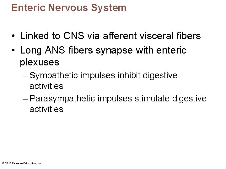 Enteric Nervous System • Linked to CNS via afferent visceral fibers • Long ANS