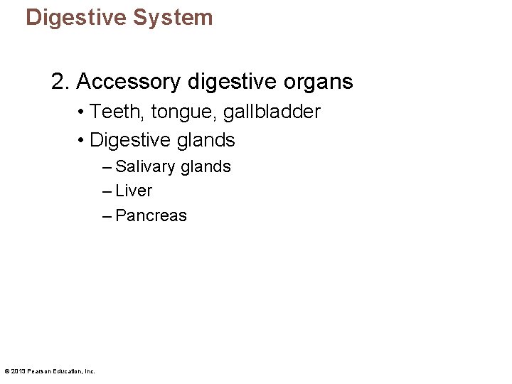 Digestive System 2. Accessory digestive organs • Teeth, tongue, gallbladder • Digestive glands –