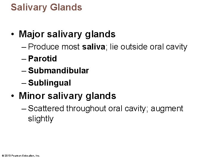 Salivary Glands • Major salivary glands – Produce most saliva; lie outside oral cavity