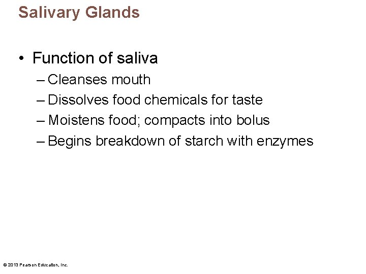 Salivary Glands • Function of saliva – Cleanses mouth – Dissolves food chemicals for