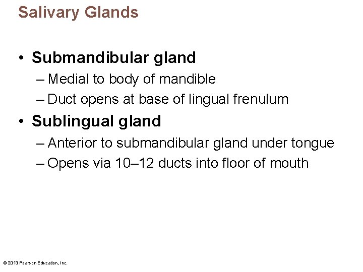 Salivary Glands • Submandibular gland – Medial to body of mandible – Duct opens