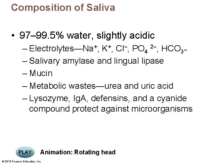 Composition of Saliva • 97– 99. 5% water, slightly acidic – Electrolytes—Na+, K+, Cl–,