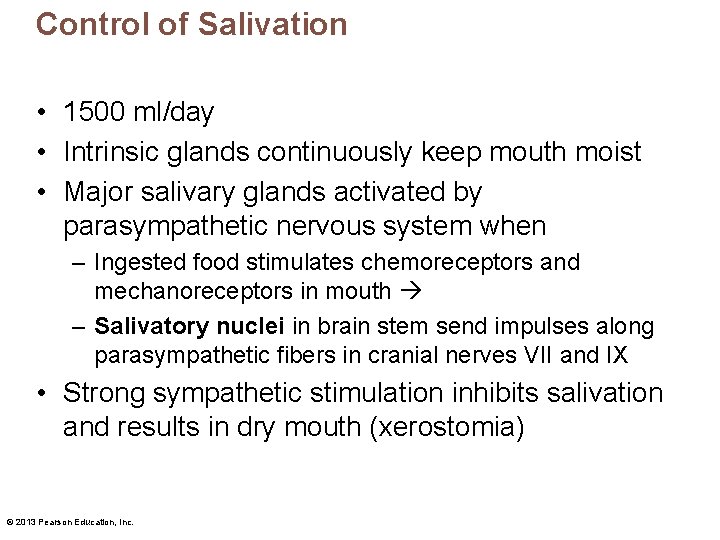 Control of Salivation • 1500 ml/day • Intrinsic glands continuously keep mouth moist •